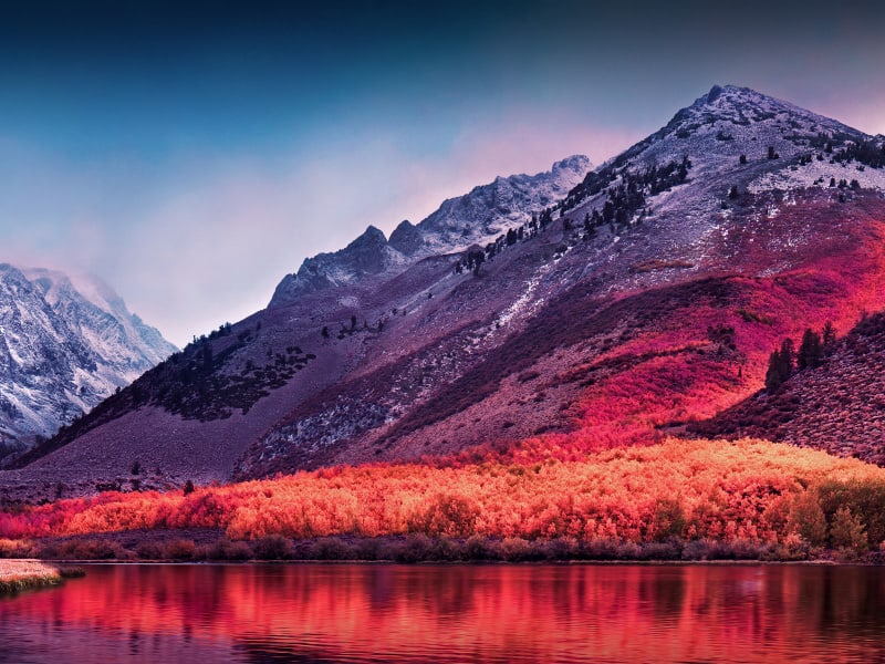 Lorem ipsum dolor sit amet, consectetur adipiscing elit. Integer suscipit vulputate venenatis. In tincidunt bibendum ex, tincidunt tristique felis eleifend at.